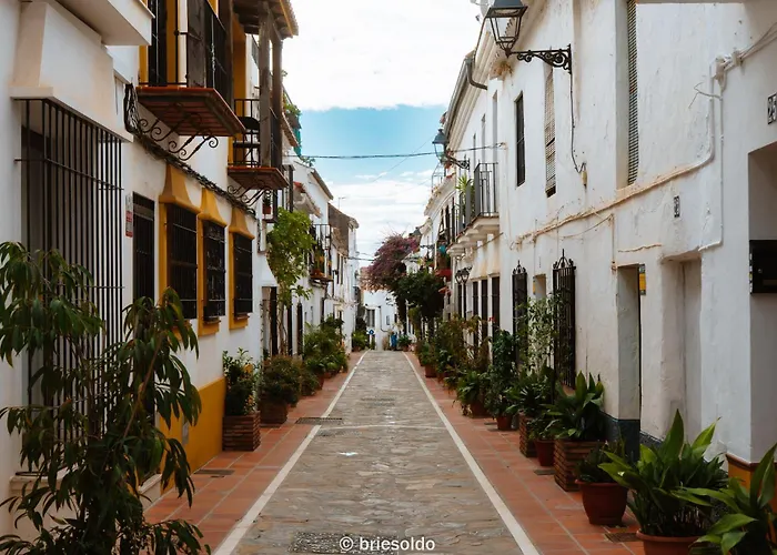 La Petite Foret Seaview Flat Close To Marbella 아파트 에스테포나