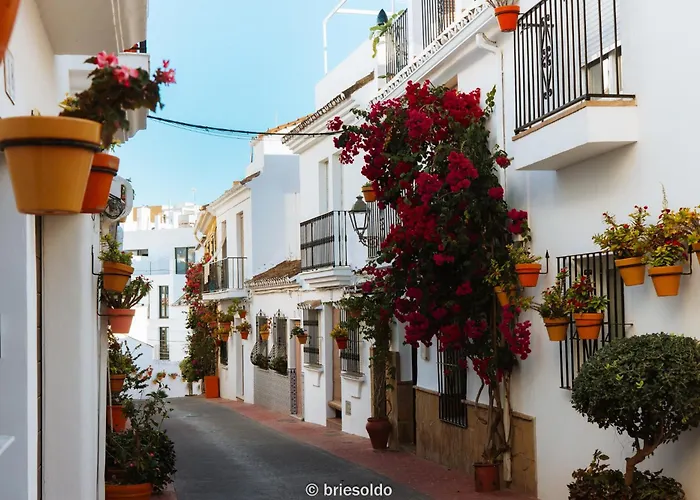 公寓 La Petite Foret Seaview Flat Close To Marbella *